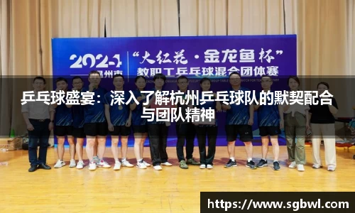 乒乓球盛宴：深入了解杭州乒乓球队的默契配合与团队精神